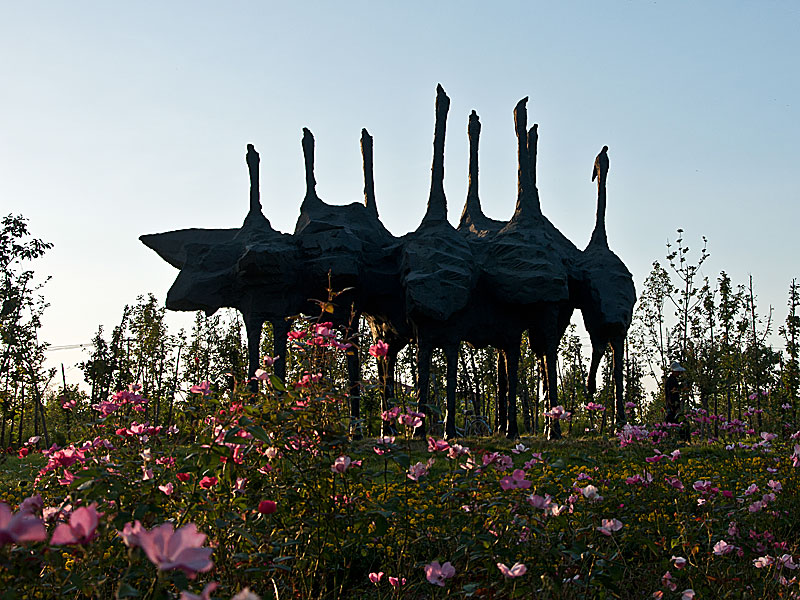 DSC_3656-44--.jpg