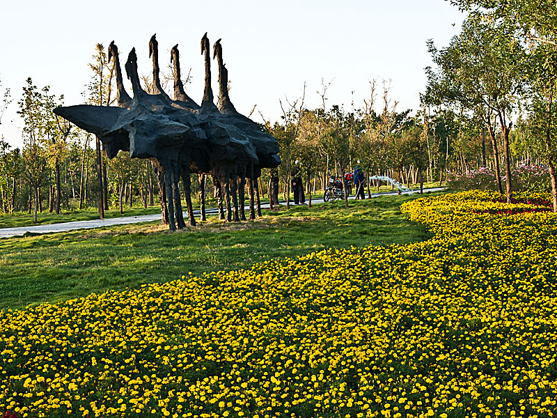 DSC_3659-47--.jpg