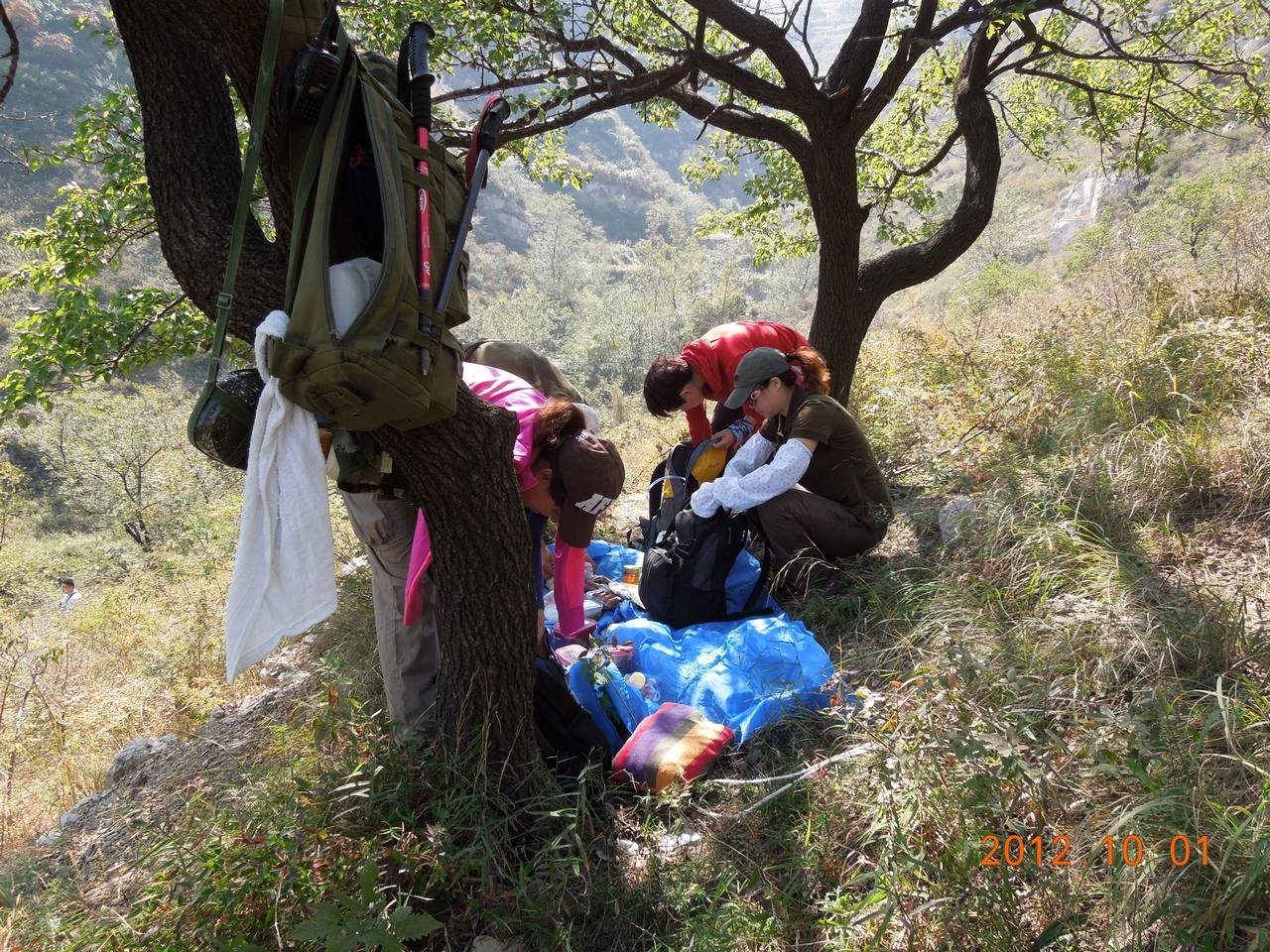 山巅树下中午饭.jpg