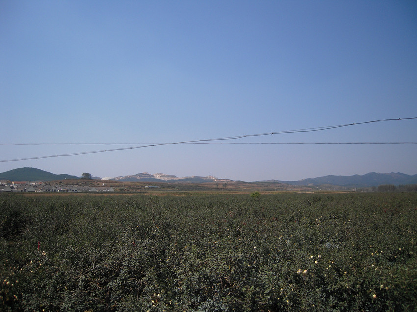 徐家寨的果园 048_副本.jpg