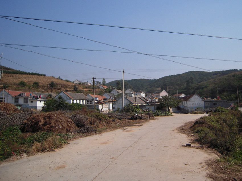 梨树夼村_副本.jpg
