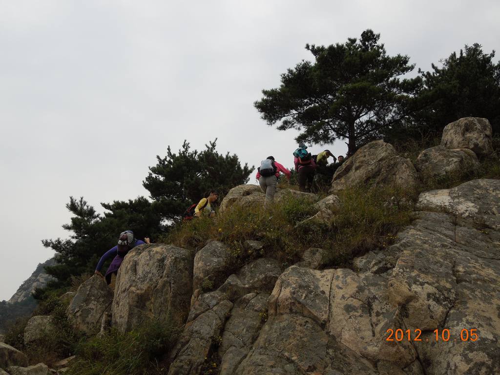 DSCN0799.jpg