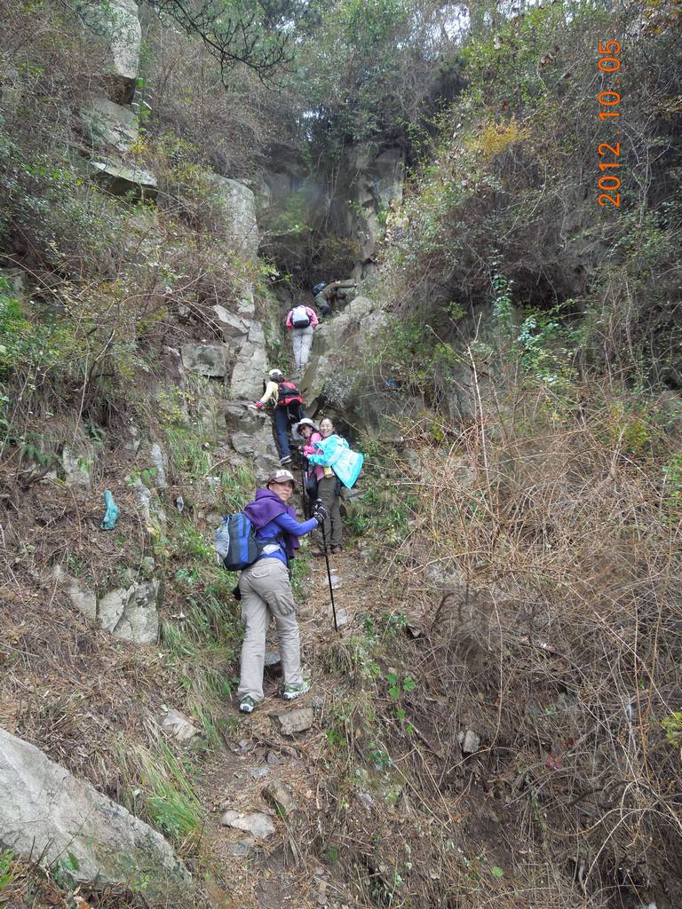 DSCN0958.jpg