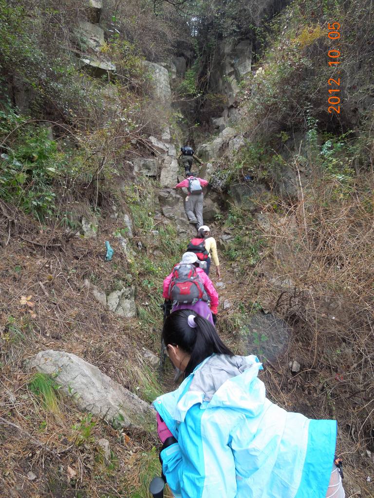 DSCN0956.jpg