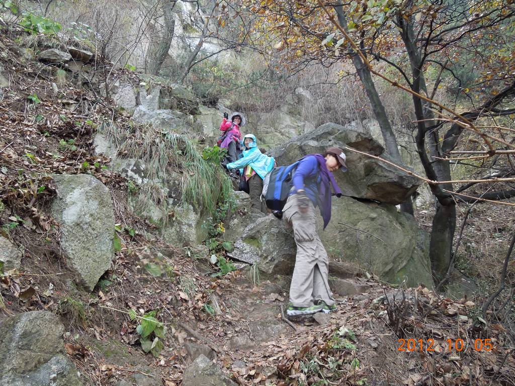 DSCN0954.jpg