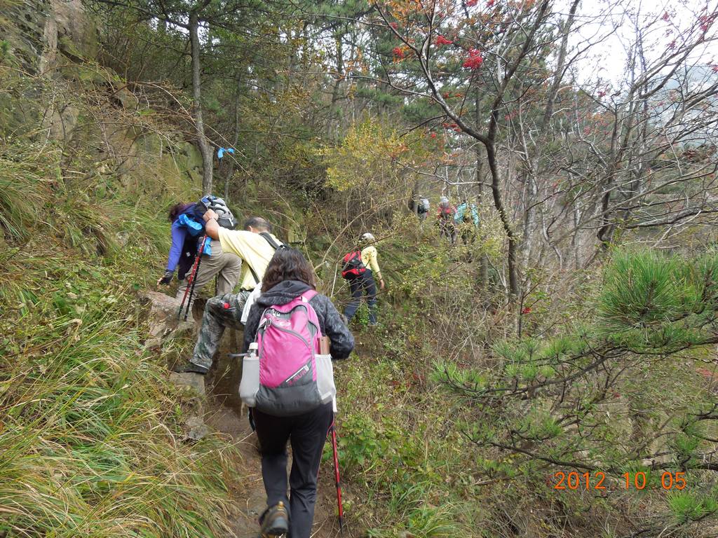 DSCN0968.jpg