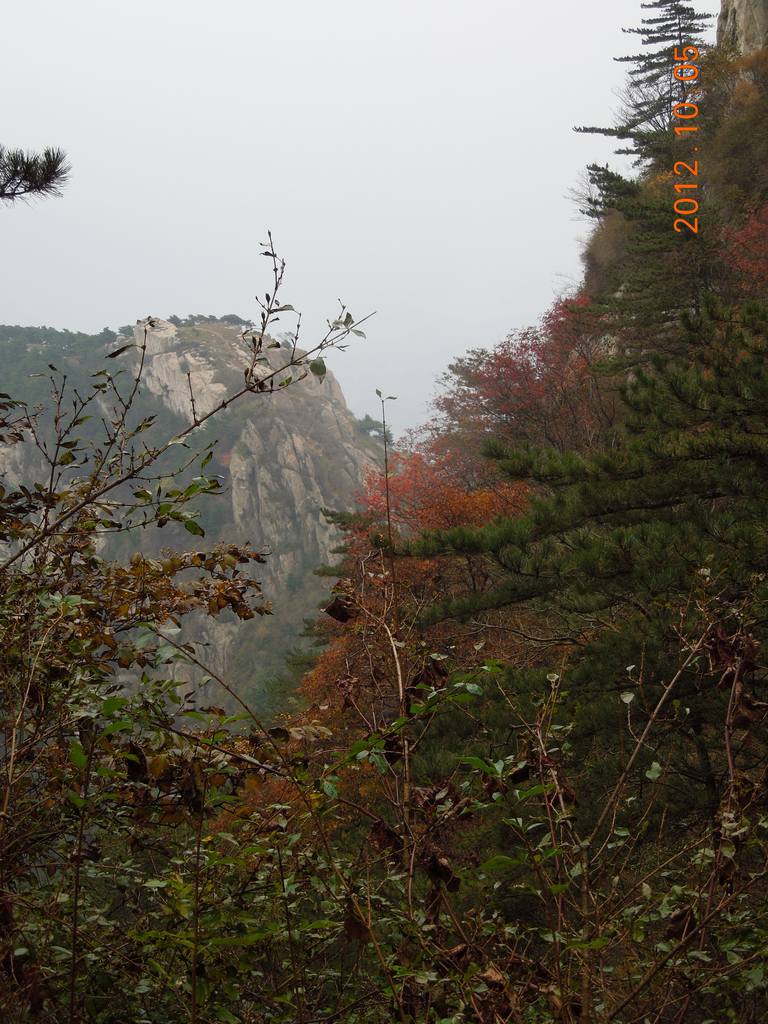 DSCN0963.jpg