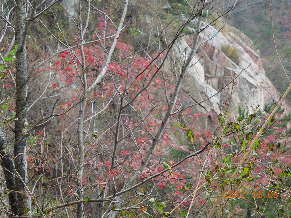 DSCN0978.jpg