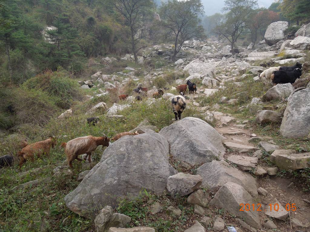 DSCN1139.jpg