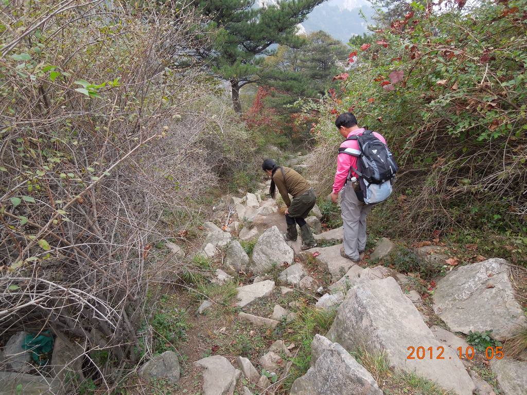 DSCN1104.jpg