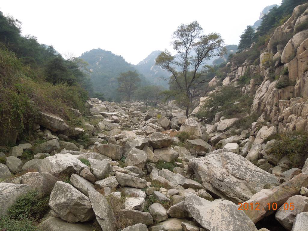 DSCN1161.jpg
