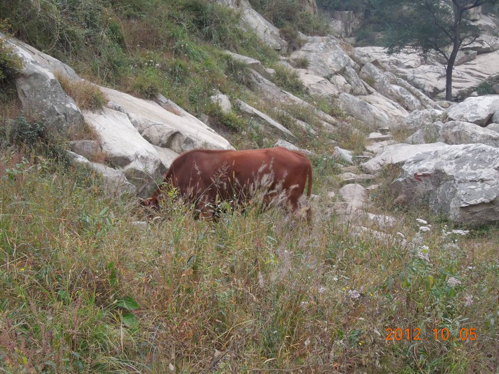 DSCN1164.jpg
