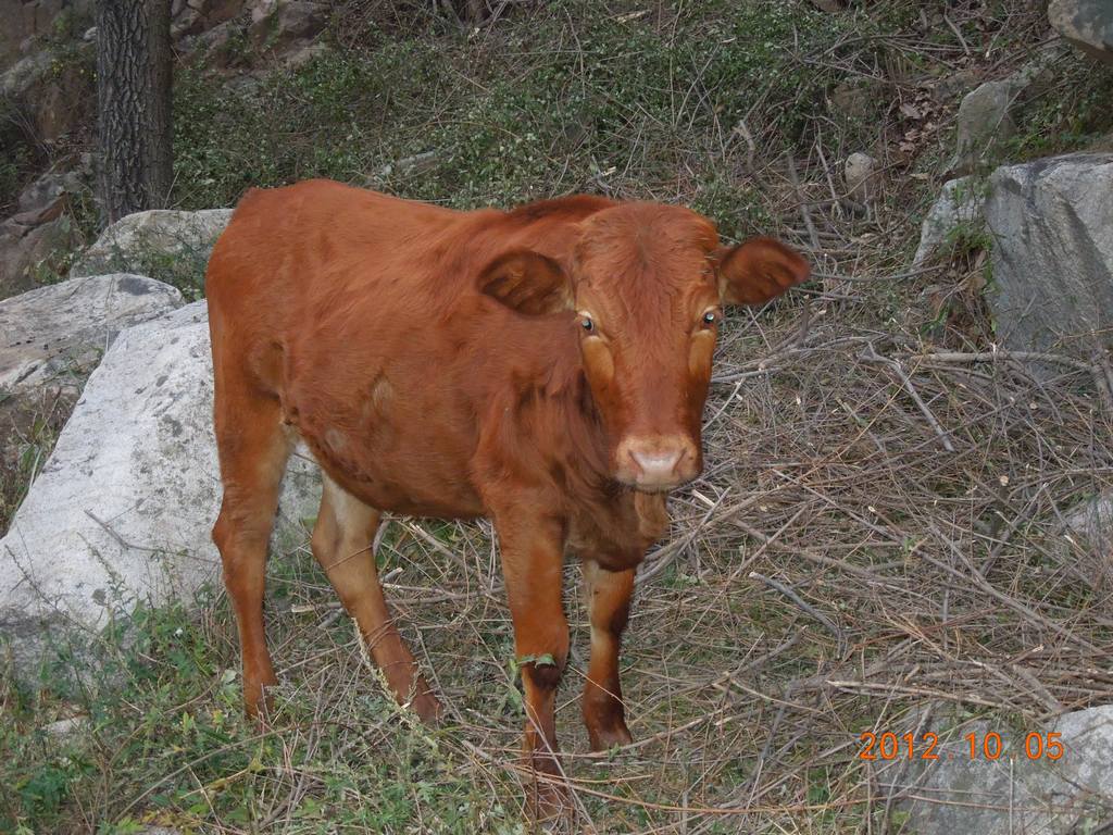 DSCN1168.jpg