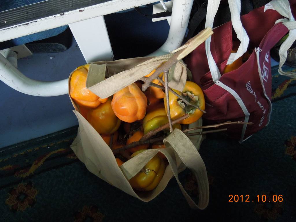 DSCN1246.jpg