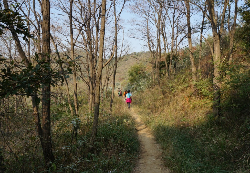 山色苍茫秋意浓.jpg