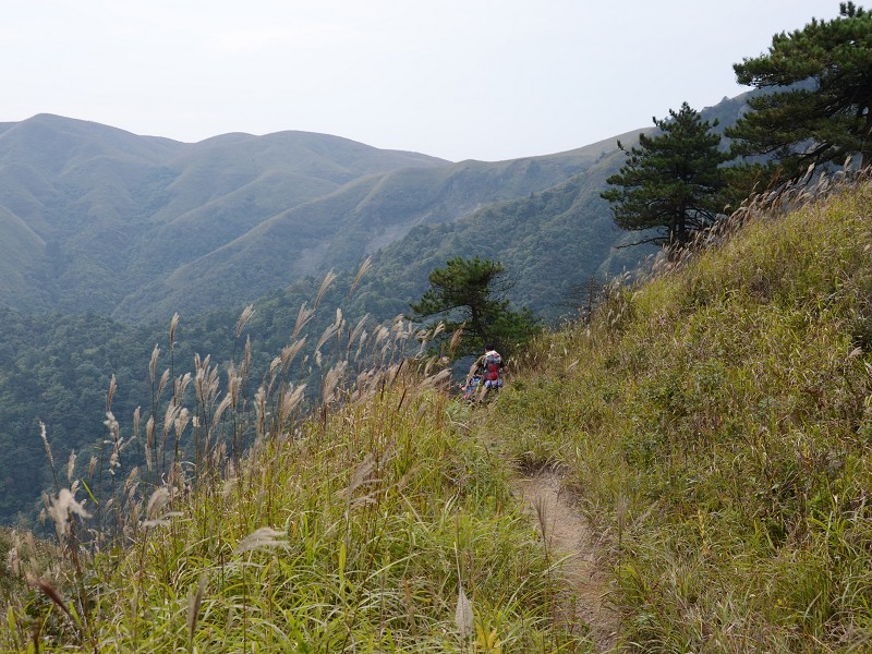 PhotoCap_002.jpg