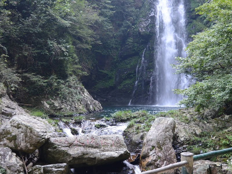 PhotoCap_323.jpg
