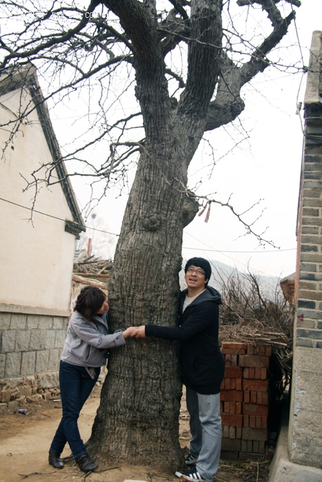 2010-04-10 驴子夫妇.jpg