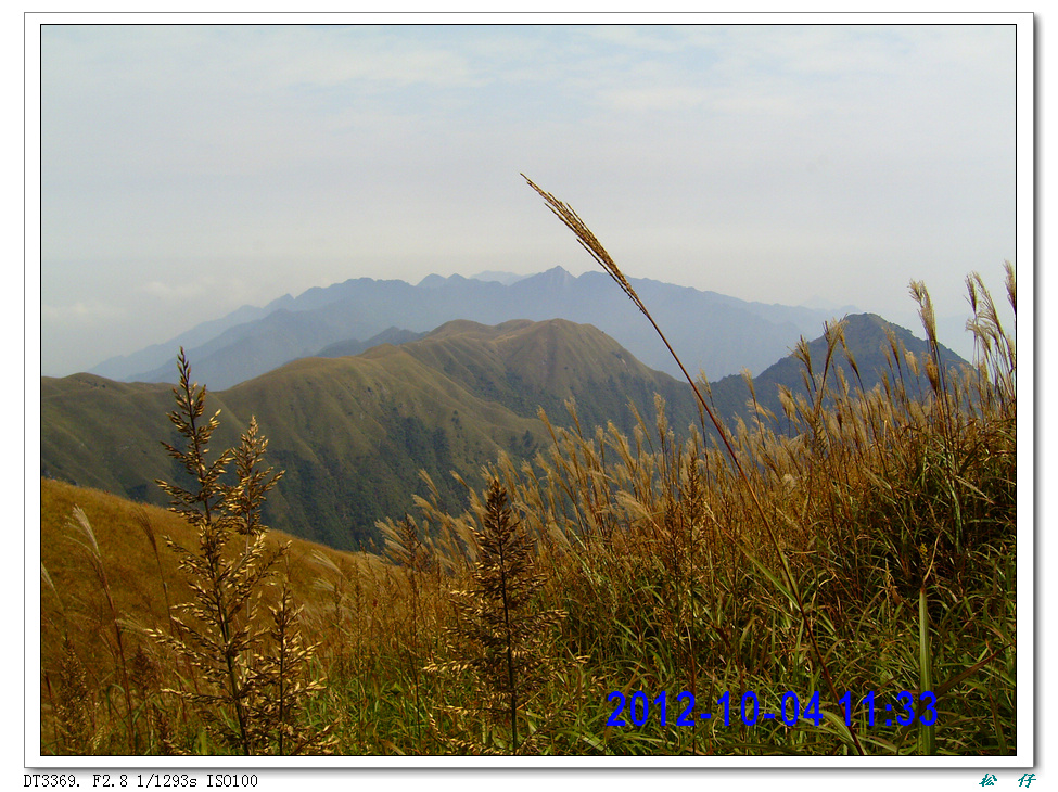PICT0875.jpg