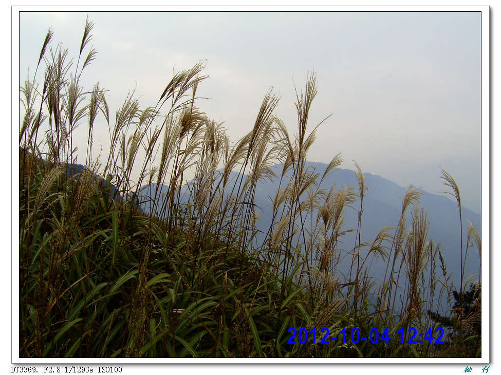 PICT0887.jpg