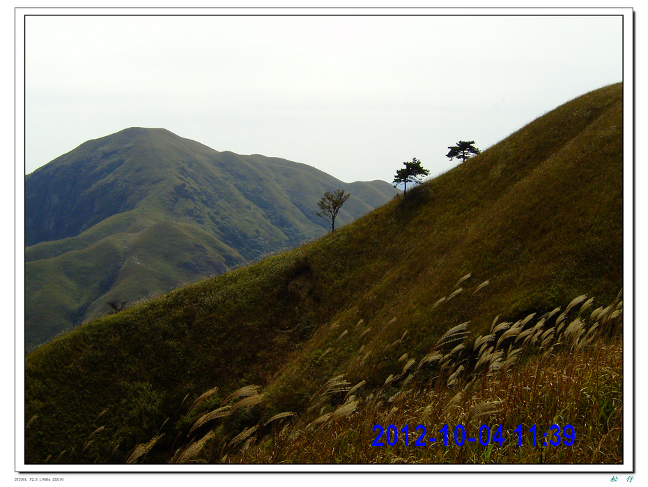PICT0883.jpg
