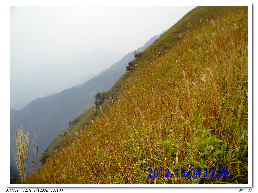 PICT0933.jpg