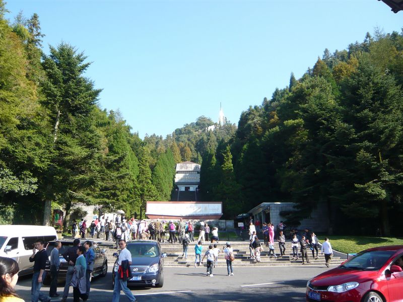P1050311.JPG