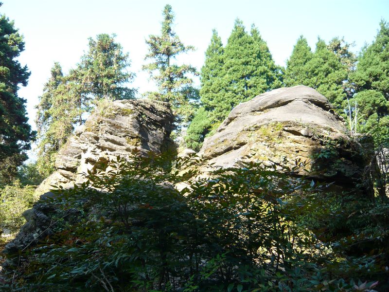 P1050318.JPG