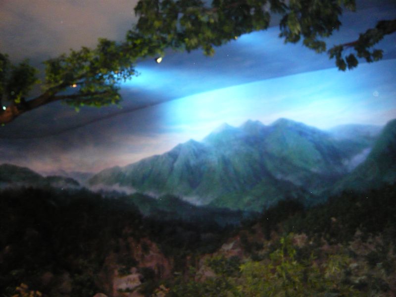 P1050321.JPG