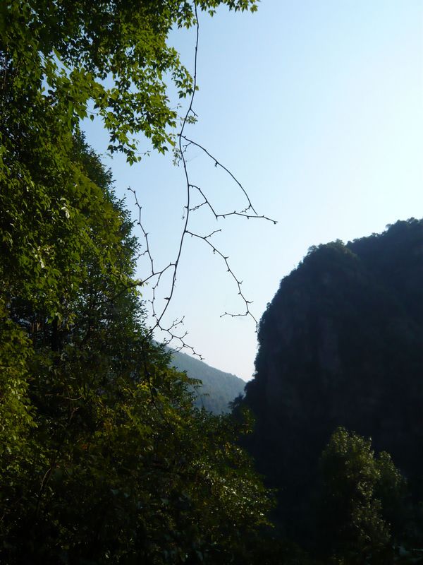 P1050324.JPG
