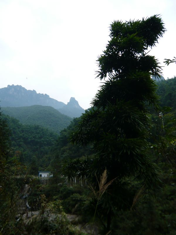 P1050362.JPG