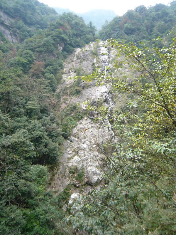 P1050370.JPG