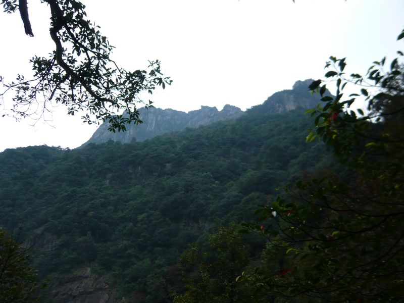 P1050372.JPG