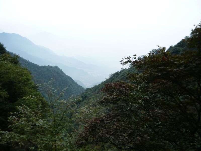 P1050376.JPG