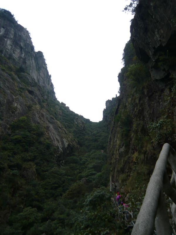 P1050378.JPG