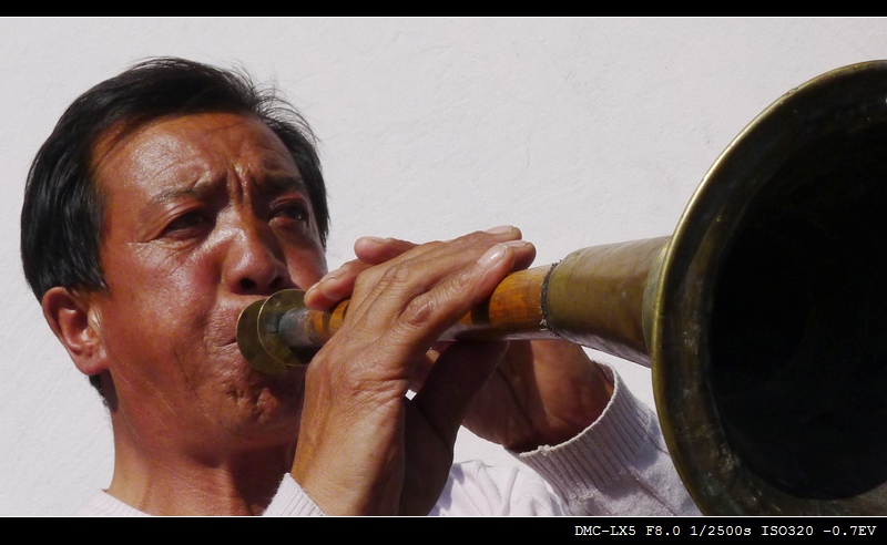 2042434hllhphfqjbib4im.jpg