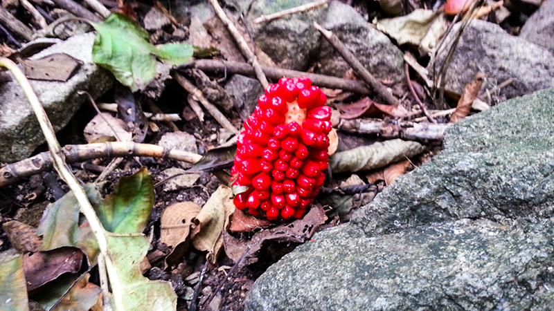 20121004_092123 副本.jpg