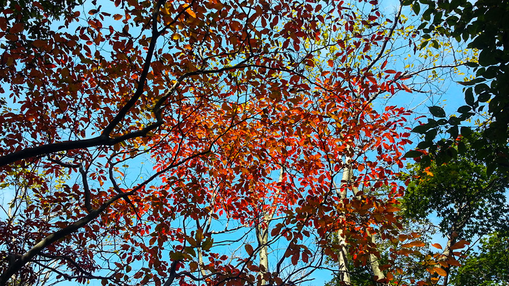 20121004_105028 副本.jpg