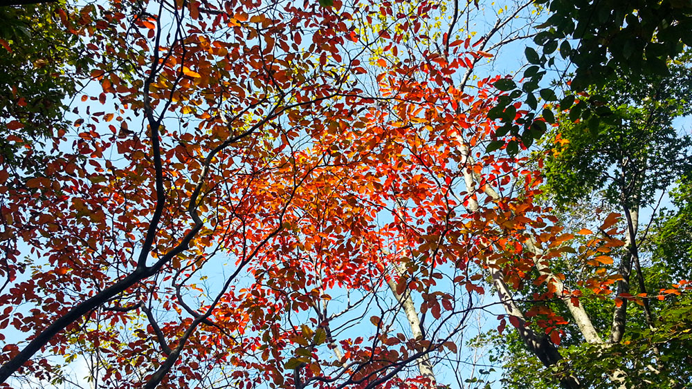 20121004_105108 副本.jpg