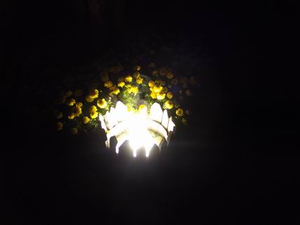 DSCF2703.JPG