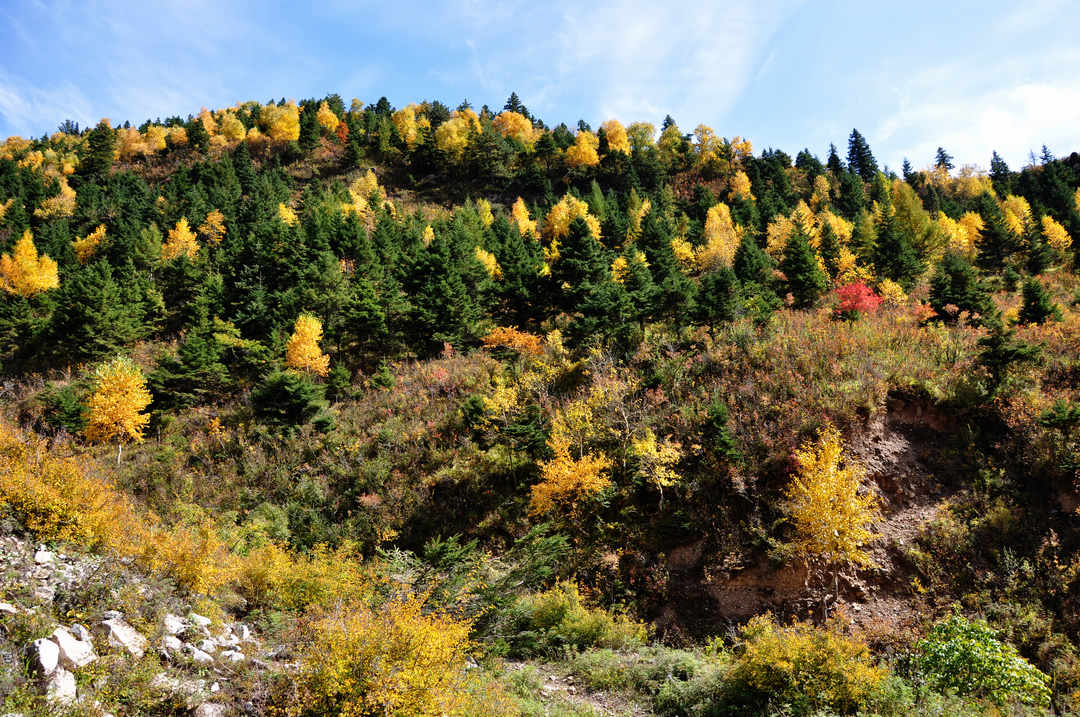 秋日山西行 199.jpg