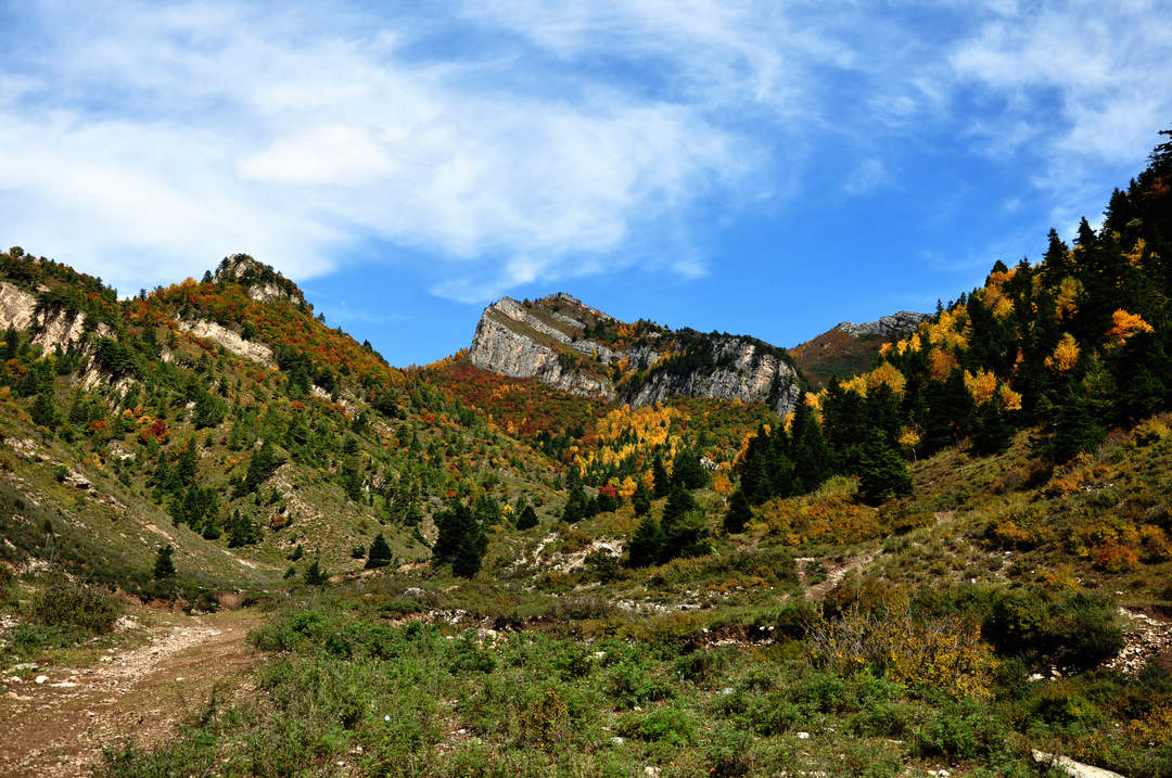 秋日山西行 195.jpg