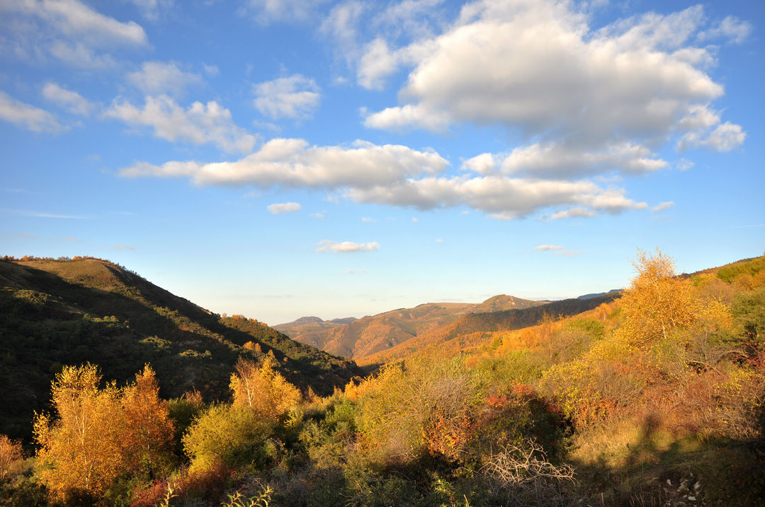 秋日山西行 342.jpg