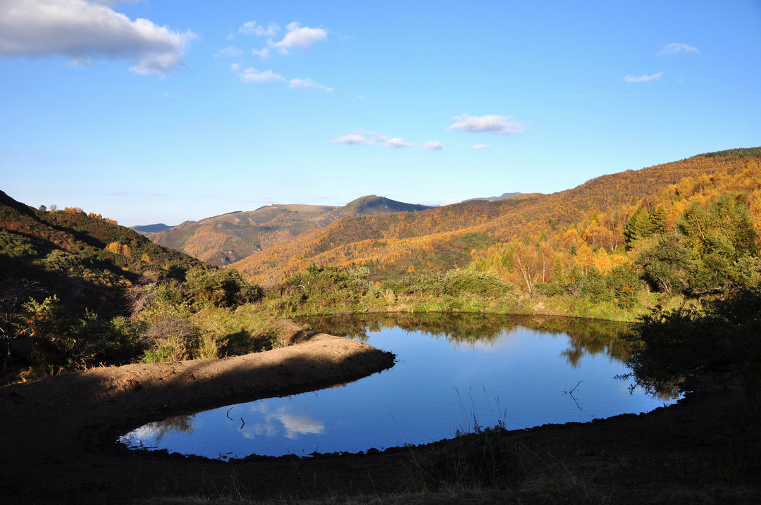 秋日山西行 333.jpg