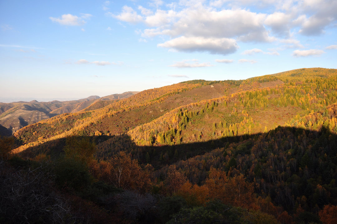秋日山西行 351.jpg