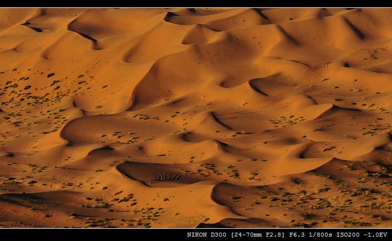 DSC_0704.jpg