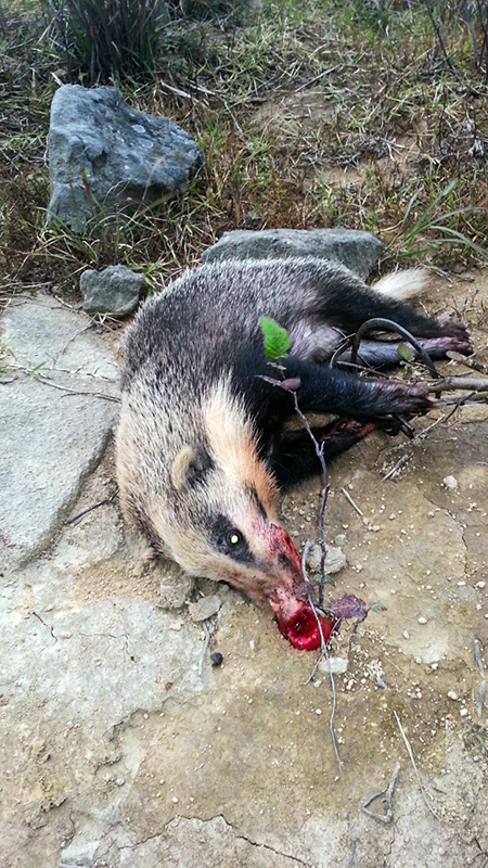 20121005_063500 副本.jpg