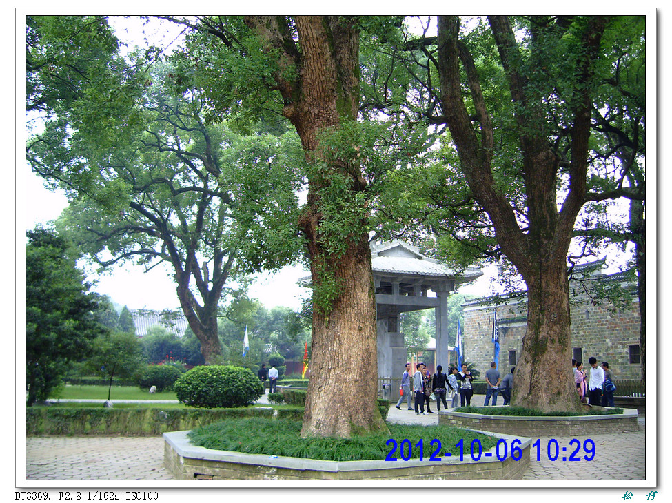 PICT1299.jpg