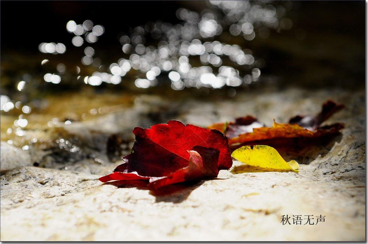 九月秋声 188_副本.jpg