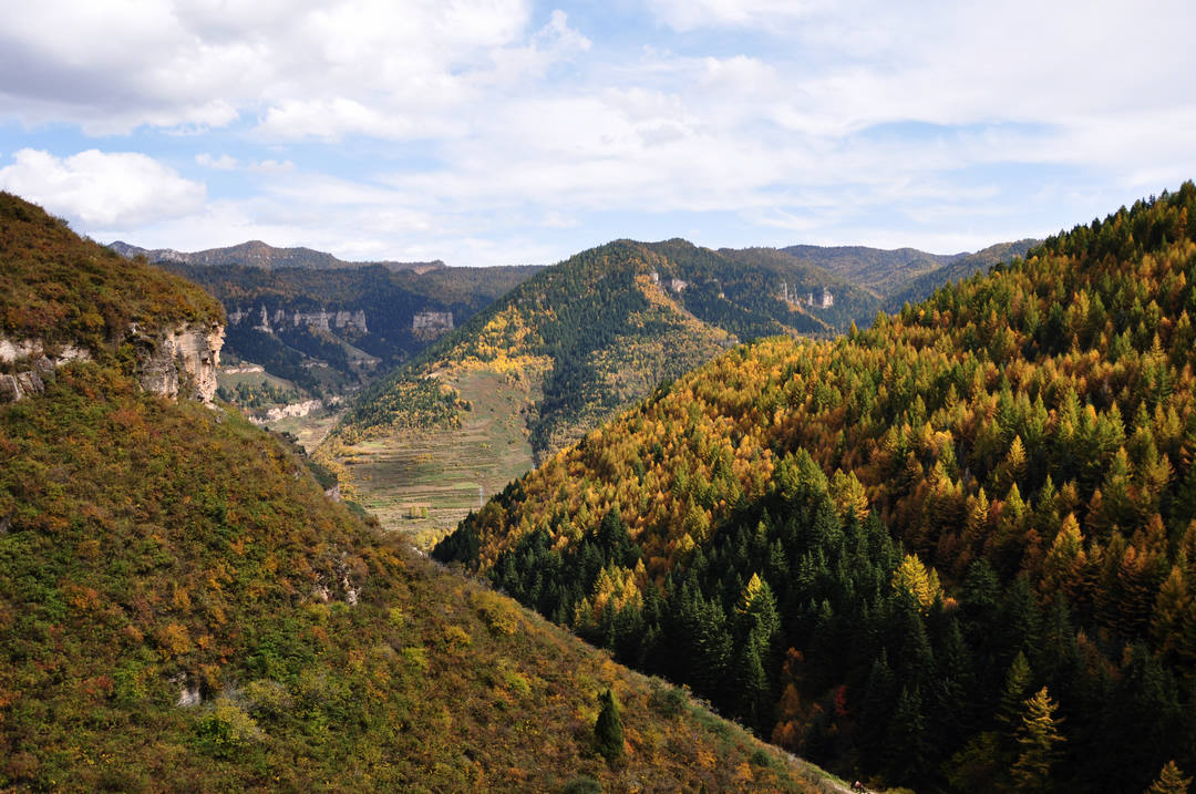 秋日山西行 234.jpg